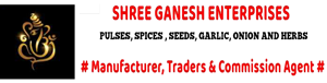 Shree Ganesh Enterprises